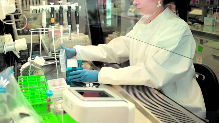 Investigação 'Made in Portugal': ciência que pretende transformar ideias em inovação