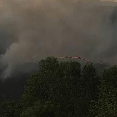 Médio Tejo enfrenta verão com mais combustível florestal e árvores derrubadas
