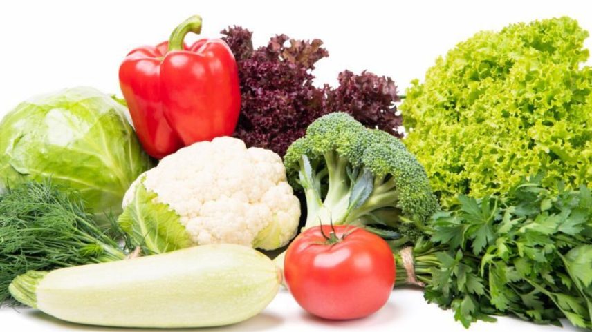 Nutrição da U. do Porto cria bar-cantina laboratório