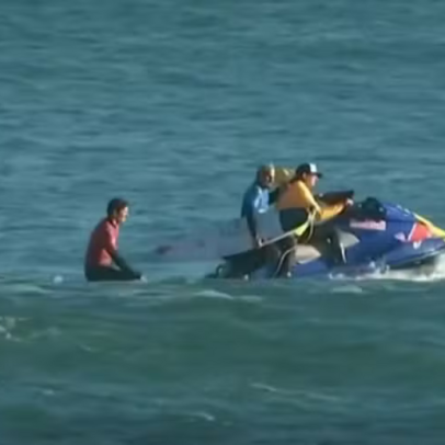 Alerta vermelho após ataque de criatura marinha na Taça do Mundo da Nova Zelândia