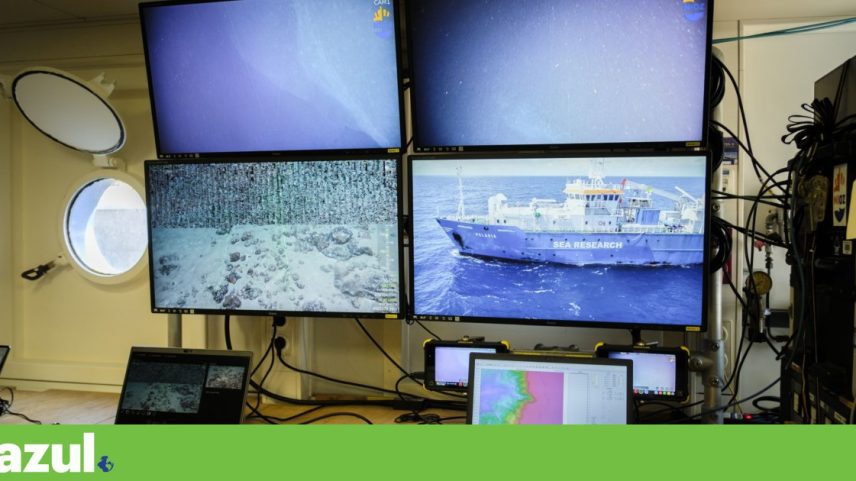Governo da Madeira defende que a Reserva Marinha D. Carlos salvaguarde a pesca