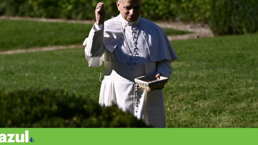 Papa Leão XIV inaugura em 2025 o jardim Laudato Si', em Castel Gandolfo, Itália