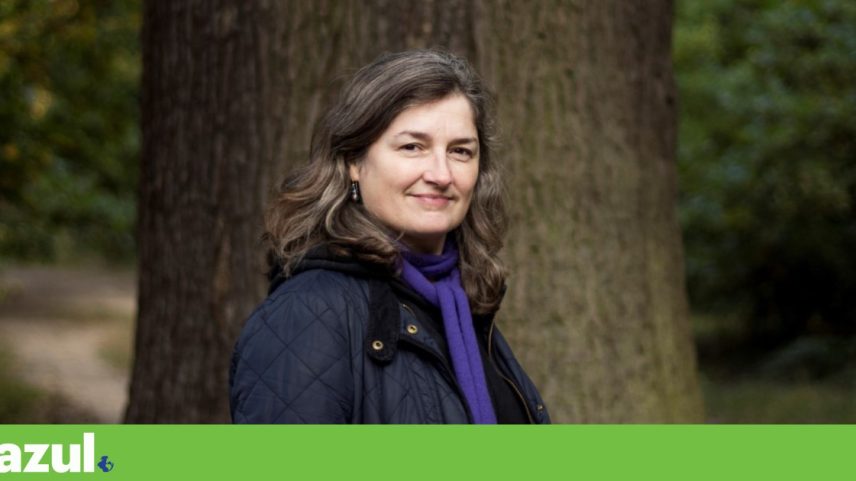 Vanessa Taylor é historiadora do ambiente e lecciona na Universidade de Greenwich, no Reino Unido