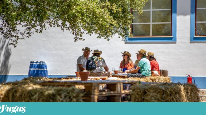 Doze eventos vínicos até ao final de maio