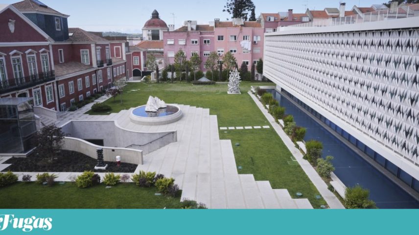 No Museu de Arte Contemporânea Armando Martins, o encontro dos tempos na interligação entre o renovado palácio do século XVIII e o novo edifício