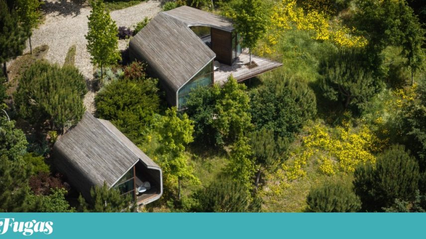 No Lavandeira Douro Nature & Wellness esconde-se uma colecção de carros clássicos
