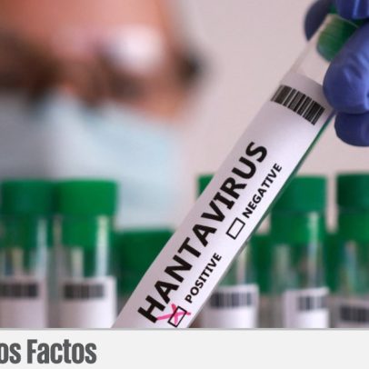 Quatro mentiras sobre o hantavírus desmentidas: não há 159 casos confirmados