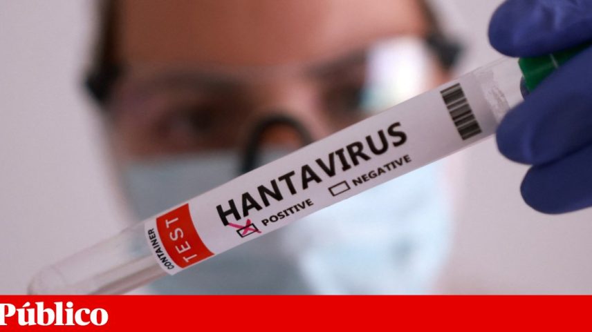 O hantavírus foi responsável pela morte de três pessas a bordo do navio cruzeiro *MV Hondius*