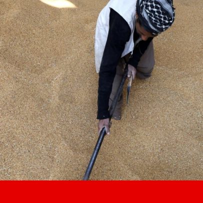 Preço global dos alimentos volta a subir, a guerra pressiona cereais