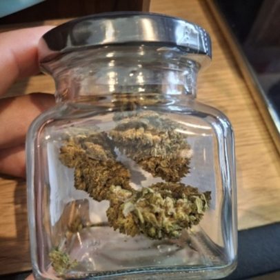 ASAE apreende cerca de 6.850 artigos com cannabis e abre 19 processos-crime
