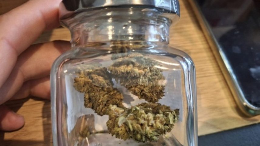 Entre os artigos apreendidos estavam sementes e flores de Cannabis sativa L, assim como resinas e pólen provenientes da planta