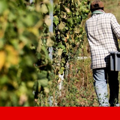 Luxemburgo, Malta e Chipre: onde os imigrantes mais ajudam a compor a população