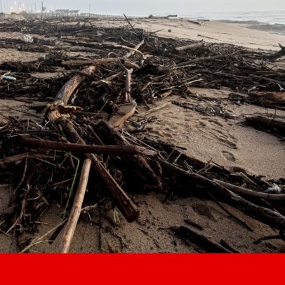 Pescador encontrado morto numa praia de Matosinhos