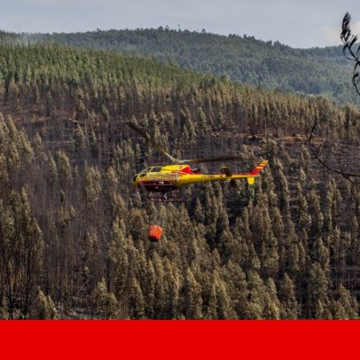 Buscas em aluguer de aviões para fogos miram casa do cunhado de Leitão Amaro