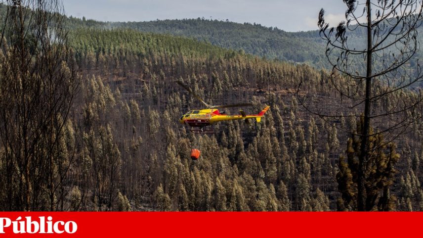 Buscas em aluguer de aviões para fogos miram casa do cunhado de Leitão Amaro