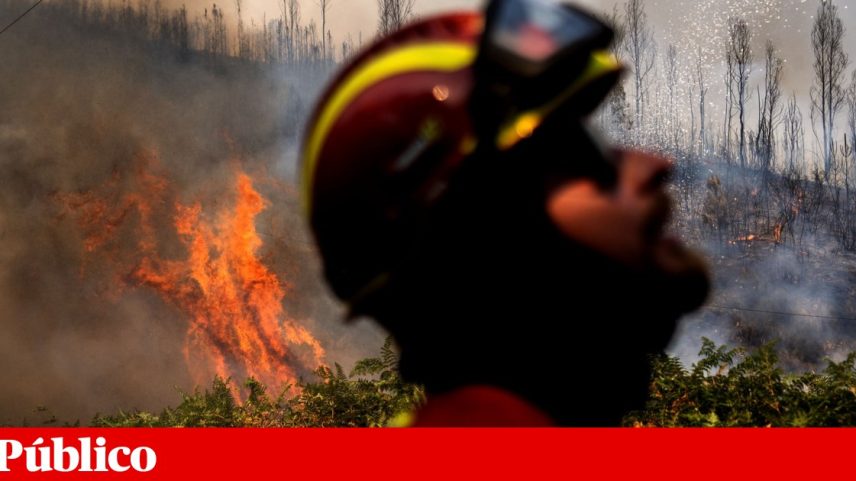 Áreas que já foram afectadas por incêndios têm maior risco de arderem outra vez