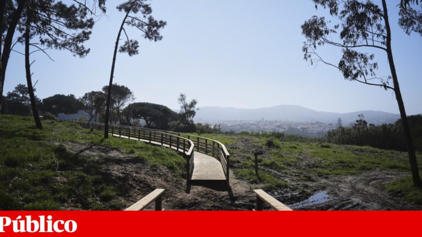 Autarquia de Sintra aprova adesão à co-gestão do parque natural