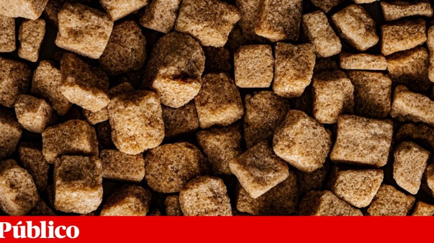 “É preciso garantir que as lideranças têm tempo para liderar”, diz coordenadora do Laboratório Português de Ambientes de Trabalho Saudáveis