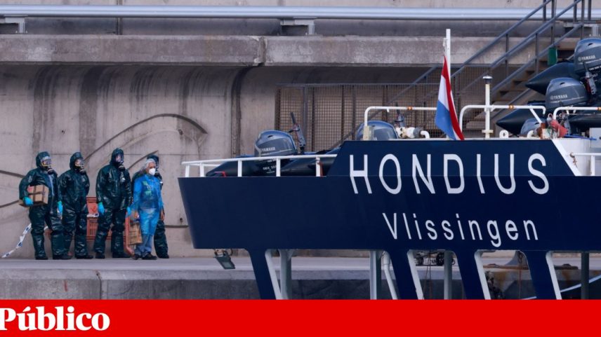 Canadiano infectado por hantavírus: casos ligados ao Hondius sobem para 11
