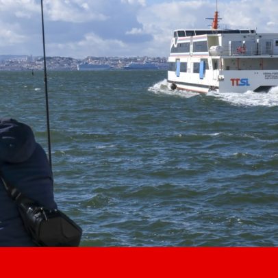 Ligação fluvial entre Seixal e Barreiro inicia em junho