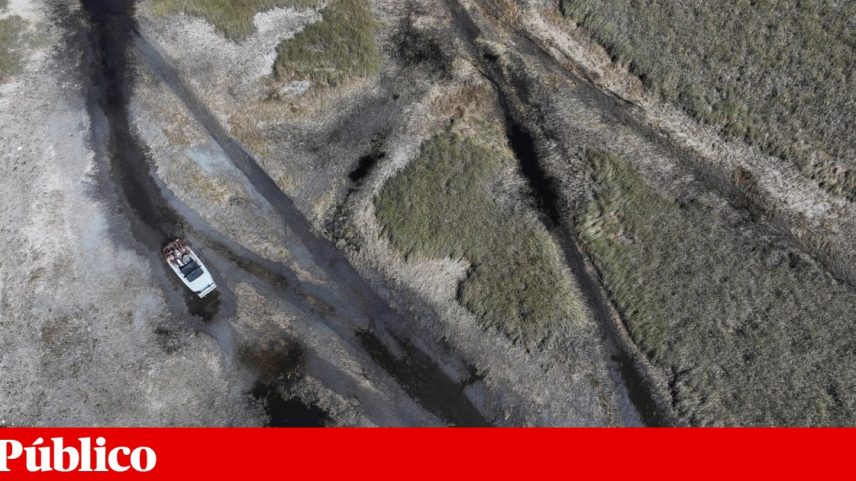 Imagem aérea do parque natural de Everglades, no sul da Florida: o estado tem 99% do seu território sob condições de seca
