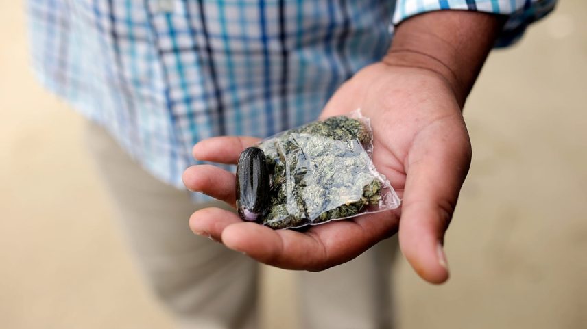 Um traficante de droga posa com produtos de canábis enquanto aguarda clientes no centro de Lisboa, terça-feira, 27 de maio de 2014