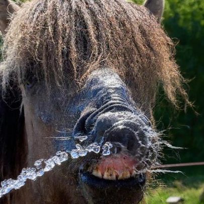 Alemanha volta a bater recorde de calor