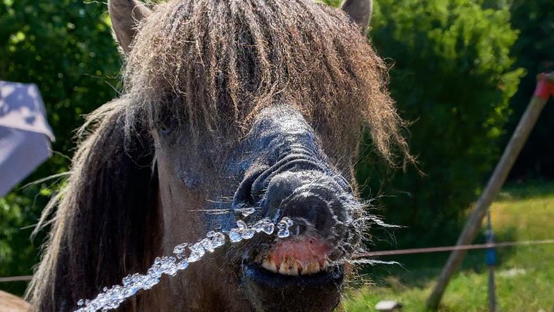 Alemanha volta a bater recorde de calor