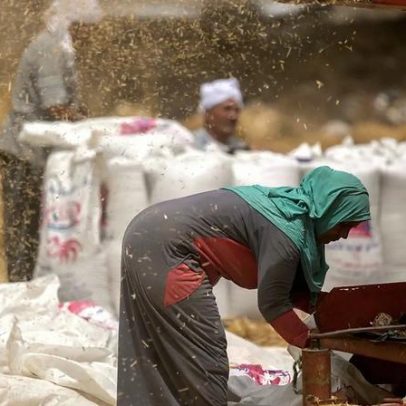 BERD rebaixa previsões de crescimento devido ao choque energético da guerra no Irão