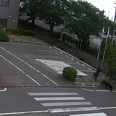 Urso fere quatro pessoas em bairro residencial no Japão