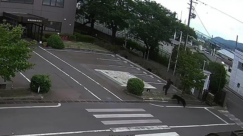 Urso fere quatro pessoas em bairro residencial no Japão