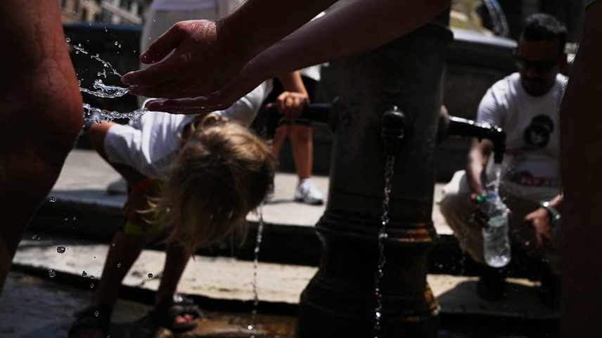 Diretor europeu da OMS pede que calor extremo seja tratado como crise de saúde