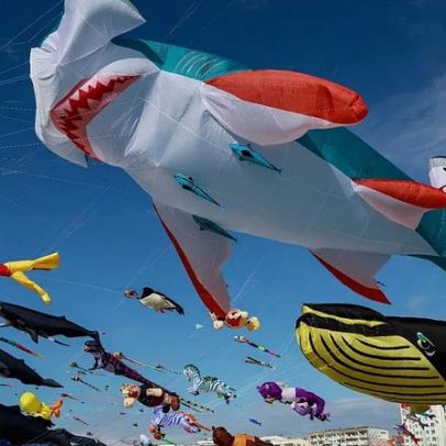 Dinamarca: papagaios gigantes em forma de dragão e polvo enchem o céu