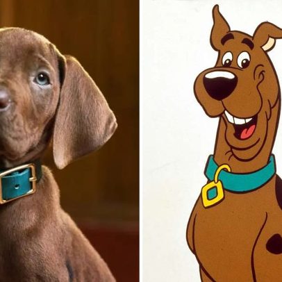 Fãs criticam Scooby-Doo em imagem real da Netflix