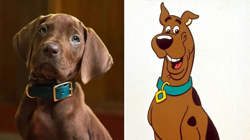 Reboot em imagem real de Scooby-Doo gera indignação dos fãs com novo protagonista canino