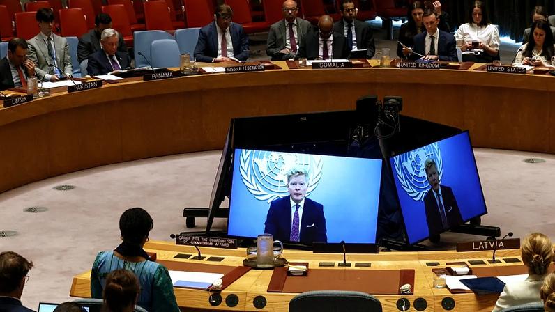 Alemanha no Conselho de Segurança da ONU: fatores que ditaram a derrota