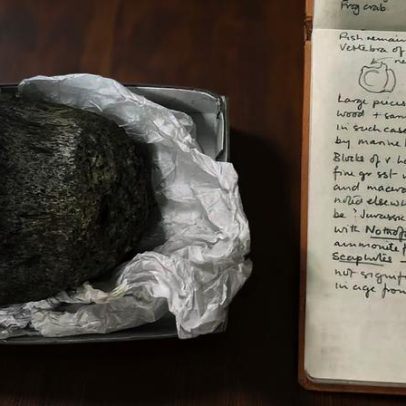 Antártida: confirmado fóssil de dinossauro encontrado há quase 40 anos