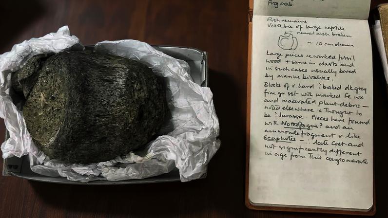 Caderno de campo geológico de 1985 de Thomson, do British Antarctic Survey, ao lado da primeira vértebra fóssil de dinossauro encontrada na Antártida
