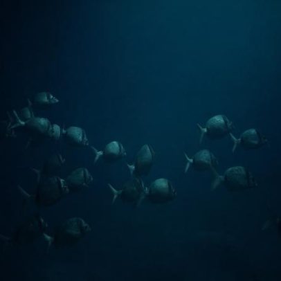 União Europeia lança plano de 92 milhões para rede de vigilância dos oceanos