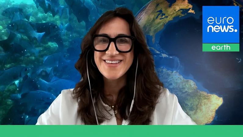 Tratado do Alto Mar redefine gestão das águas internacionais