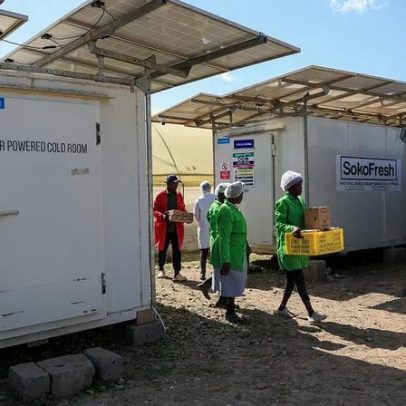 Frigoríficos solares aumentam rendimentos em 50% e reduzem desperdício