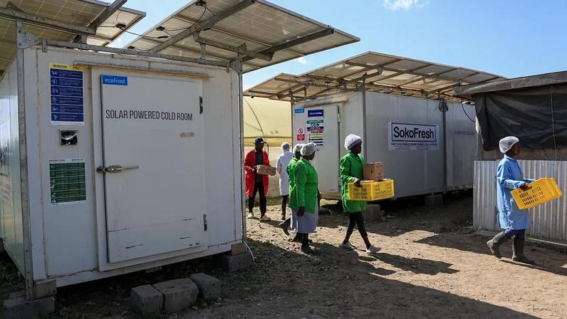 Frigoríficos solares aumentam rendimentos em 50% e reduzem desperdício