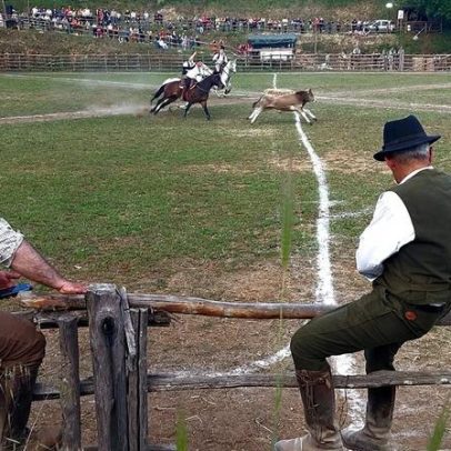 Butteri da Maremma do Lácio unem tradição e inovação no Riarto de Canale Monterano