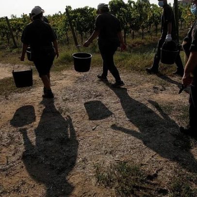 Itália: quatro trabalhadores imigrantes mortos queimados dentro de carro