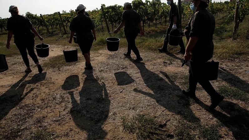 Itália: quatro trabalhadores imigrantes mortos queimados dentro de carro