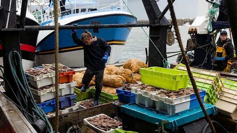 Pescadores franceses reúnem-se em Cherbourg diante de vários desafios do setor