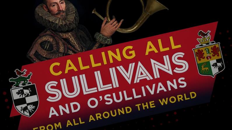 Os O'Sullans batem recorde do Guinness ao reunir pessoas com o mesmo apelido
