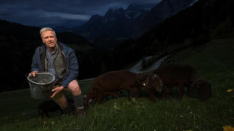 "Terra dos agricultores felizes": Porque é que a relva parece crescer mais verde na Áustria