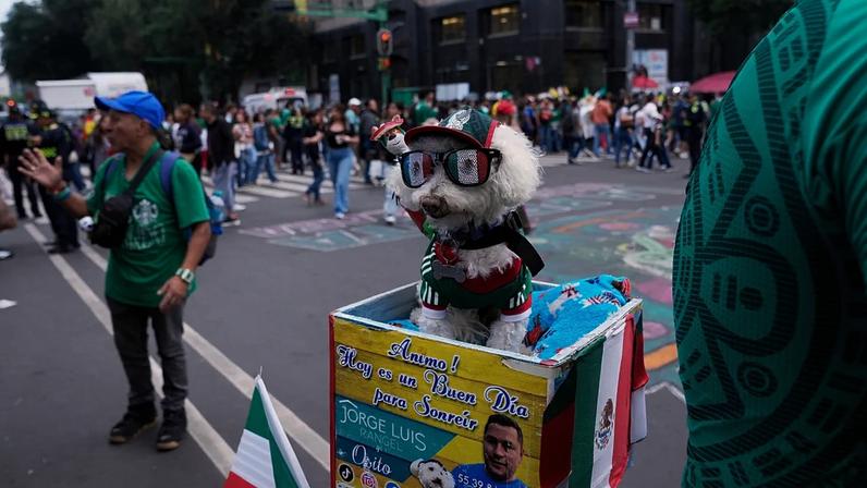 Um cão chamado Osito enverga a camisola da seleção mexicana e segue no cesto da bicicleta de Jorge Rangel