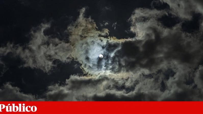 Portugal regista queda nos pedidos de asilo de menores de idade